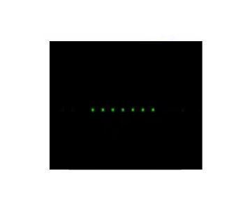 [ Holo-or ]<Br>1D Beam Splitter 